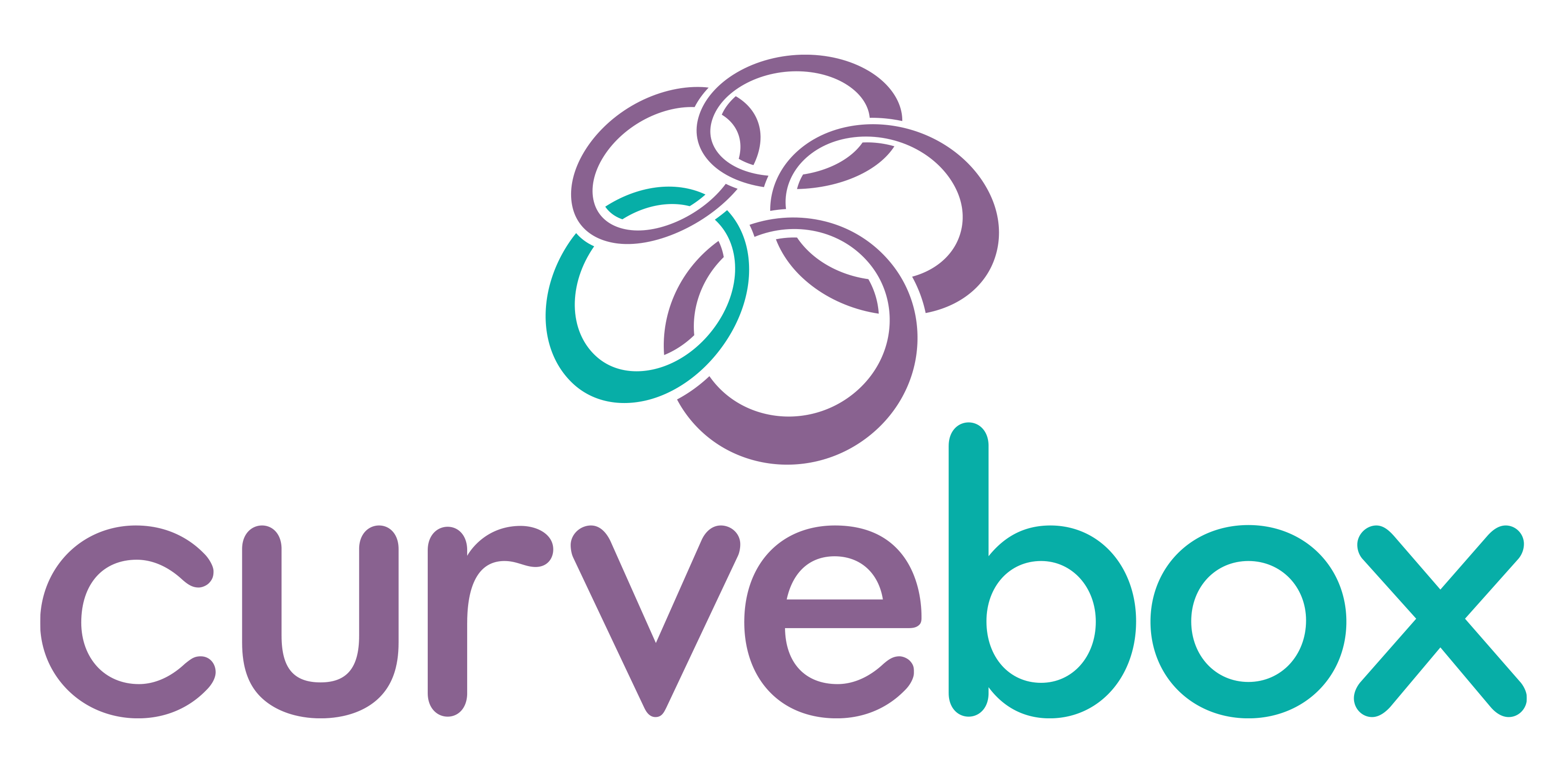 Curvebox Logo
